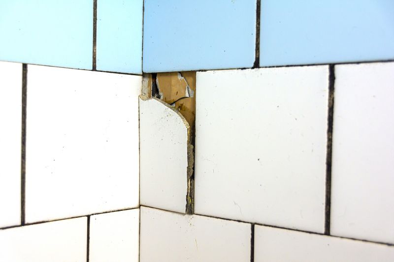 Tile Repair and Replacement